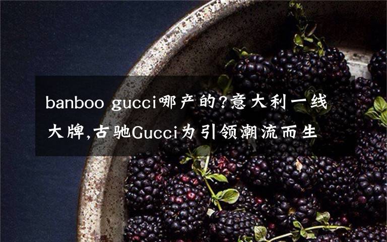 banboo gucci哪產(chǎn)的?意大利一線大牌,古馳Gucci為引領(lǐng)潮流而生