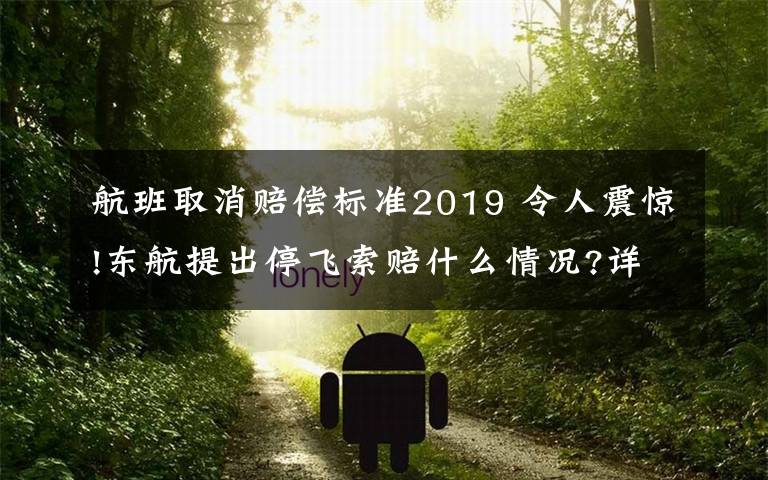 航班取消賠償標(biāo)準(zhǔn)2019 令人震驚!東航提出停飛索賠什么情況?詳情始末曝光終于真相了