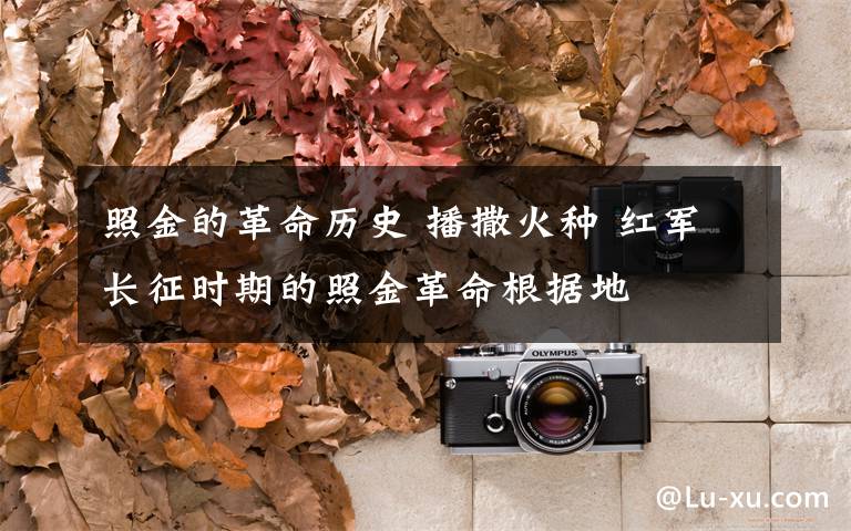 照金的革命歷史 播撒火種 紅軍長(zhǎng)征時(shí)期的照金革命根據(jù)地