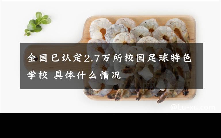 全國(guó)已認(rèn)定2.7萬(wàn)所校園足球特色學(xué)校 具體什么情況