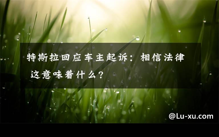 特斯拉回應(yīng)車主起訴：相信法律 這意味著什么?