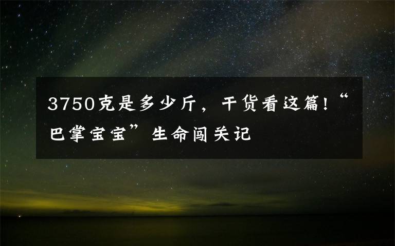 3750克是多少斤，干貨看這篇!“巴掌寶寶”生命闖關(guān)記