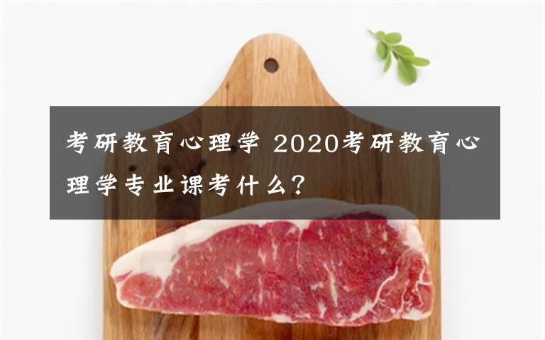 考研教育心理學(xué) 2020考研教育心理學(xué)專業(yè)課考什么？