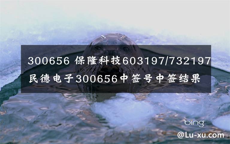 300656 保隆科技603197/732197民德電子300656中簽號中簽結(jié)果查詢