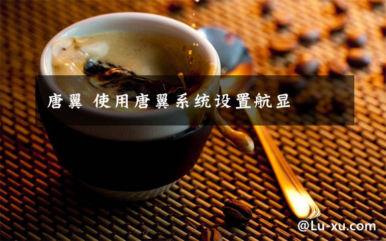 唐翼 使用唐翼系統(tǒng)設(shè)置航顯