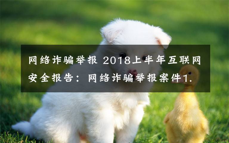 網(wǎng)絡詐騙舉報 2018上半年互聯(lián)網(wǎng)安全報告：網(wǎng)絡詐騙舉報案件1.2萬起