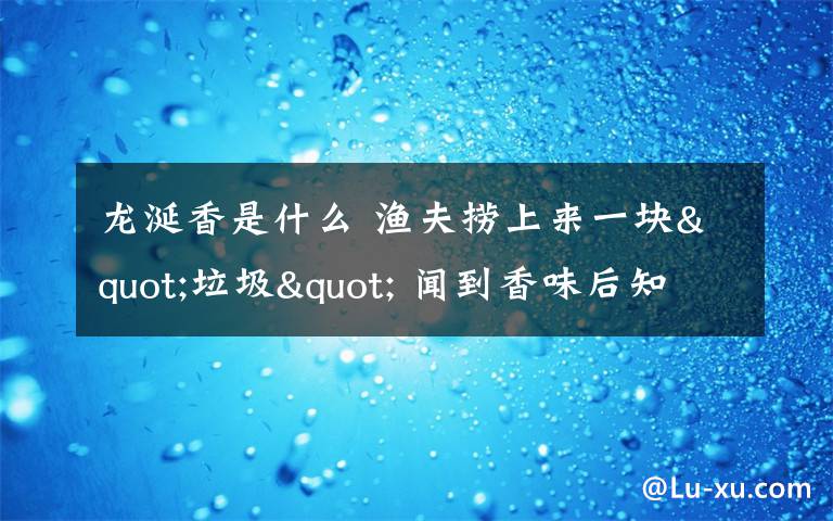 龍涎香是什么 漁夫撈上來(lái)一塊"垃圾" 聞到香味后知道自己發(fā)了 龍涎香是什么？