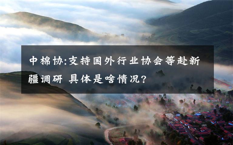 中棉協(xié):支持國外行業(yè)協(xié)會等赴新疆調(diào)研 具體是啥情況?