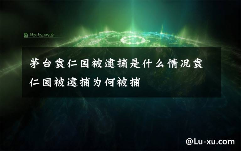 茅臺(tái)袁仁國被逮捕是什么情況袁仁國被逮捕為何被捕