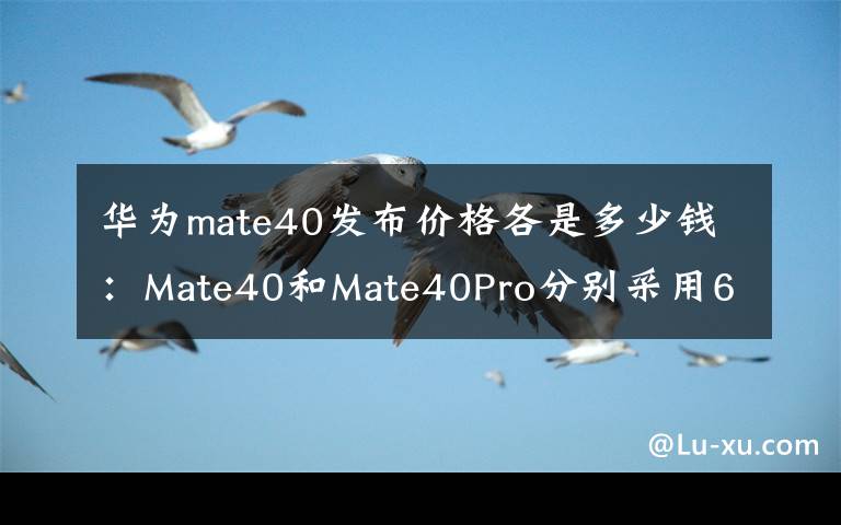 華為mate40發(fā)布價(jià)格各是多少錢：Mate40和Mate40Pro分別采用6.5英寸和6.76英寸曲面OLED屏幕，刷新