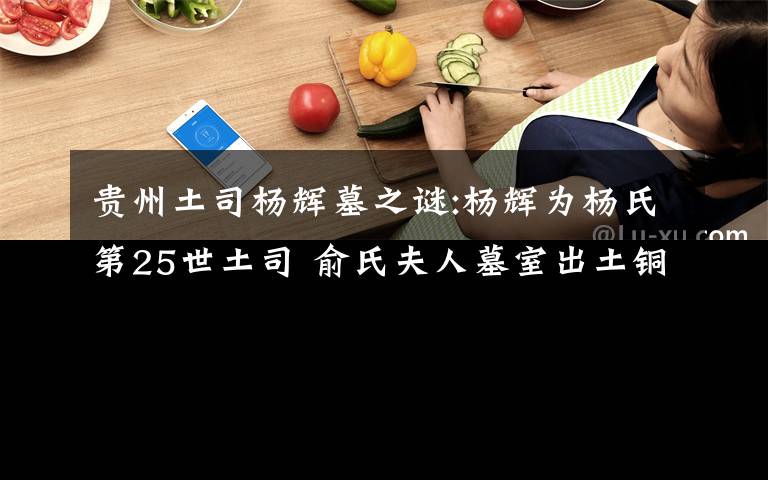 貴州土司楊輝墓之謎:楊輝為楊氏第25世土司 俞氏夫人墓室出土銅鏡