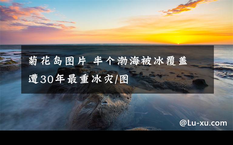 菊花島圖片 半個(gè)渤海被冰覆蓋 遭30年最重冰災(zāi)/圖