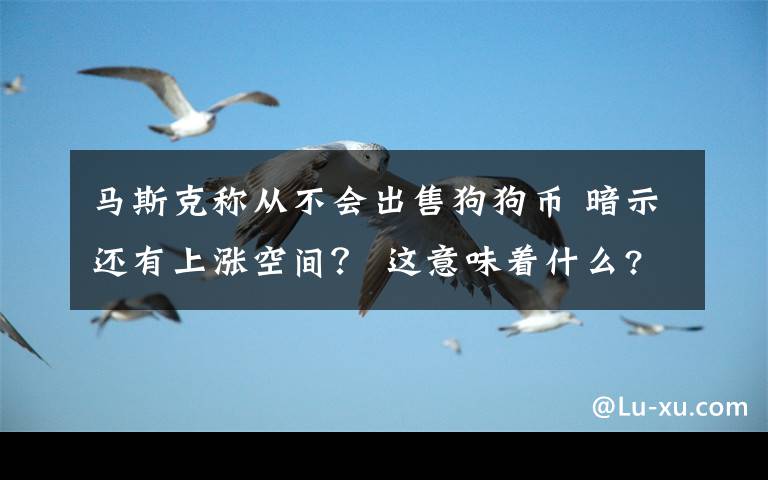 馬斯克稱從不會出售狗狗幣 暗示還有上漲空間？ 這意味著什么?