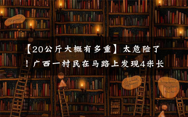 【20公斤大概有多重】太危險了！廣西一村民在馬路上發(fā)現(xiàn)4米長大蟒蛇，近20斤重