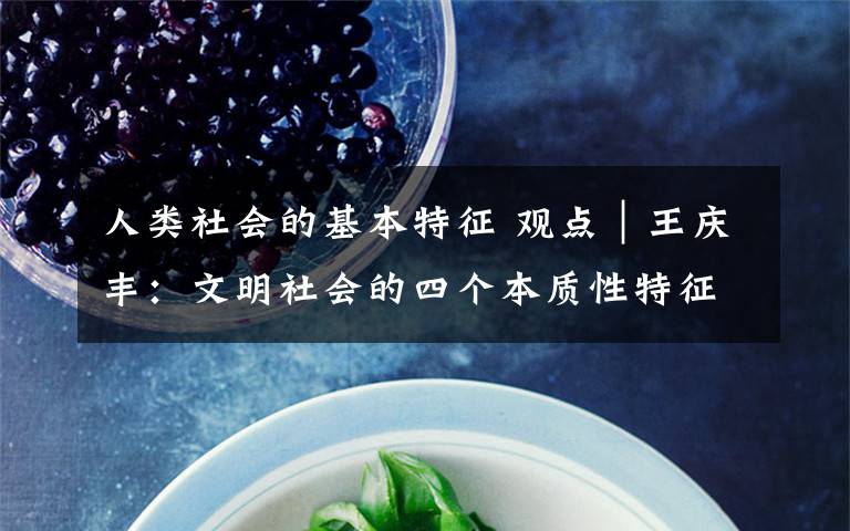 人類社會(huì)的基本特征 觀點(diǎn)︱王慶豐：文明社會(huì)的四個(gè)本質(zhì)性特征