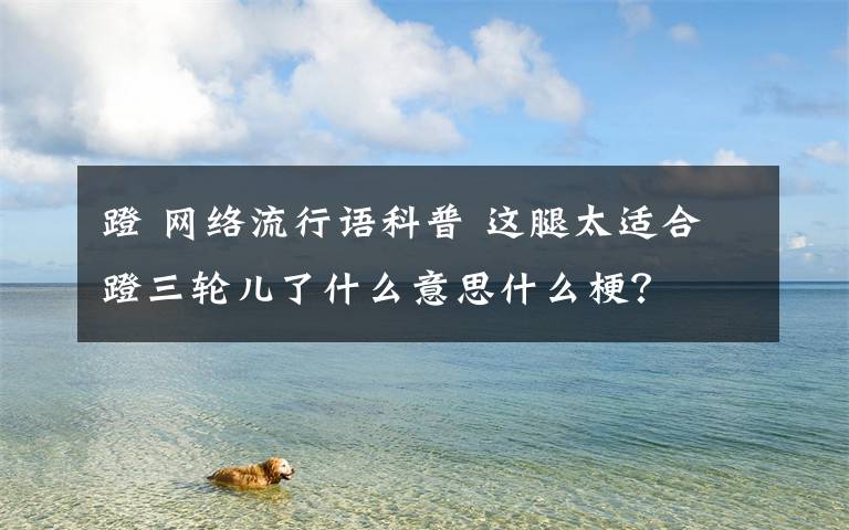 蹬 網(wǎng)絡流行語科普 這腿太適合蹬三輪兒了什么意思什么梗？