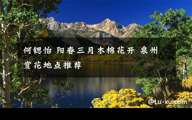 何鍶怡 陽(yáng)春三月木棉花開(kāi) 泉州賞花地點(diǎn)推薦