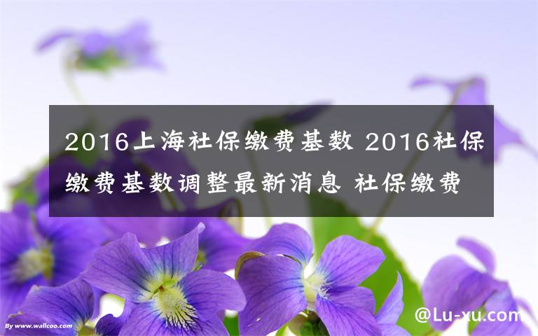 2016上海社保繳費(fèi)基數(shù) 2016社保繳費(fèi)基數(shù)調(diào)整最新消息 社保繳費(fèi)基數(shù)怎么算