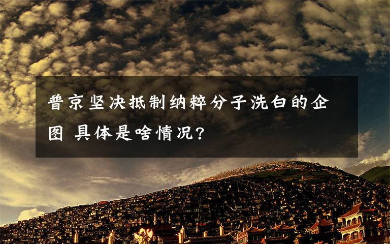 普京堅決抵制納粹分子洗白的企圖 具體是啥情況?