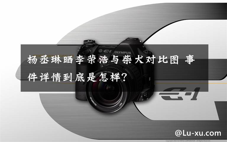 楊丞琳曬李榮浩與柴犬對比圖 事件詳情到底是怎樣？