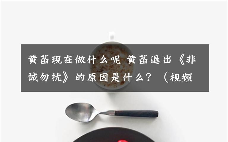 黃菡現(xiàn)在做什么呢 黃菡退出《非誠(chéng)勿擾》的原因是什么？（視頻）