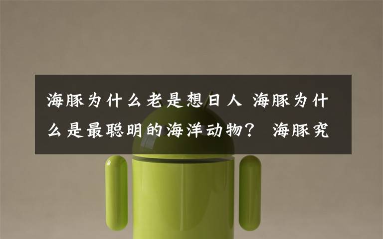 海豚為什么老是想日人 海豚為什么是最聰明的海洋動物？ 海豚究竟有多聰明？