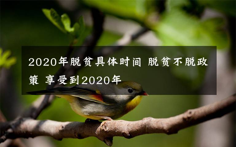 2020年脫貧具體時間 脫貧不脫政策 享受到2020年