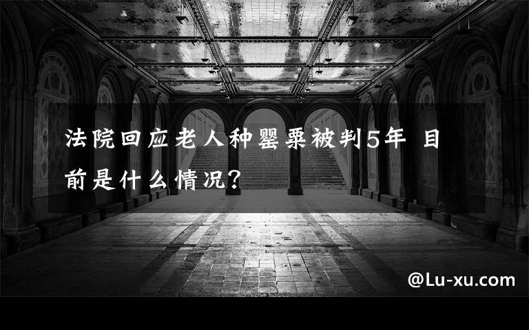 法院回應(yīng)老人種罌粟被判5年 目前是什么情況？