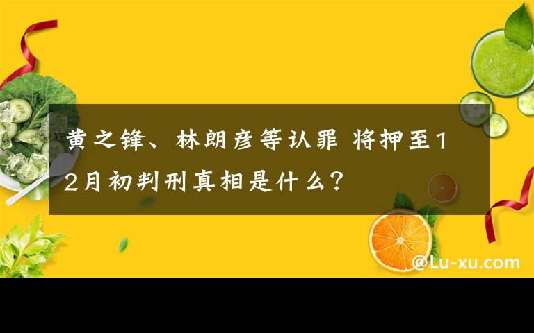 黃之鋒、林朗彥等認(rèn)罪 將押至12月初判刑真相是什么？