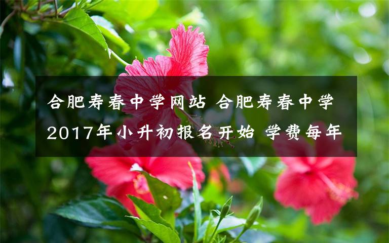 合肥壽春中學(xué)網(wǎng)站 合肥壽春中學(xué)2017年小升初報名開始 學(xué)費(fèi)每年1.4萬余元