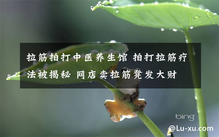 拉筋拍打中醫(yī)養(yǎng)生館 拍打拉筋療法被揭秘 網(wǎng)店賣(mài)拉筋凳發(fā)大財(cái)