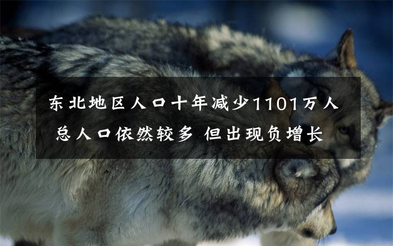 東北地區(qū)人口十年減少1101萬人 總?cè)丝谝廊惠^多 但出現(xiàn)負(fù)增長 到底什么情況呢？