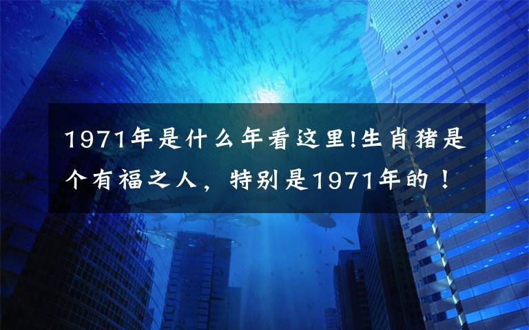 1971年是什么年看這里!生肖豬是個有福之人，特別是1971年的！