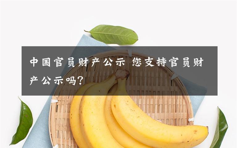 中國官員財產(chǎn)公示 您支持官員財產(chǎn)公示嗎？