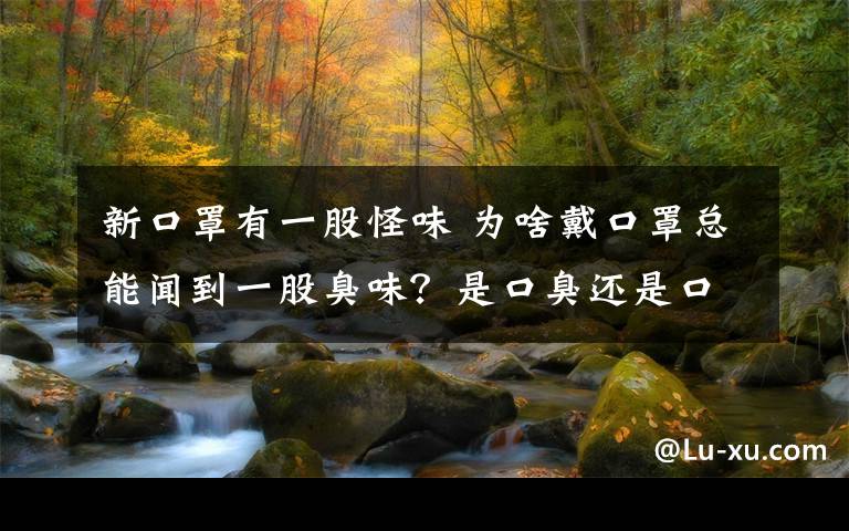 新口罩有一股怪味 為啥戴口罩總能聞到一股臭味？是口臭還是口罩臭？今天終于明白了