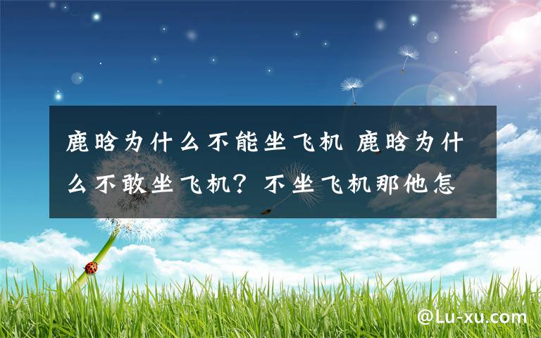 鹿晗為什么不能坐飛機(jī) 鹿晗為什么不敢坐飛機(jī)？不坐飛機(jī)那他怎么去韓國(guó)?。?> </div> <div   id=