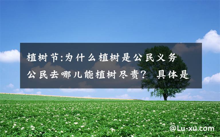 植樹節(jié):為什么植樹是公民義務(wù) 公民去哪兒能植樹盡責(zé)？ 具體是什么情況？