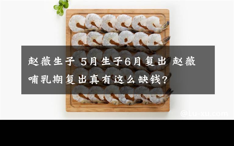 趙薇生子 5月生子6月復(fù)出 趙薇哺乳期復(fù)出真有這么缺錢?