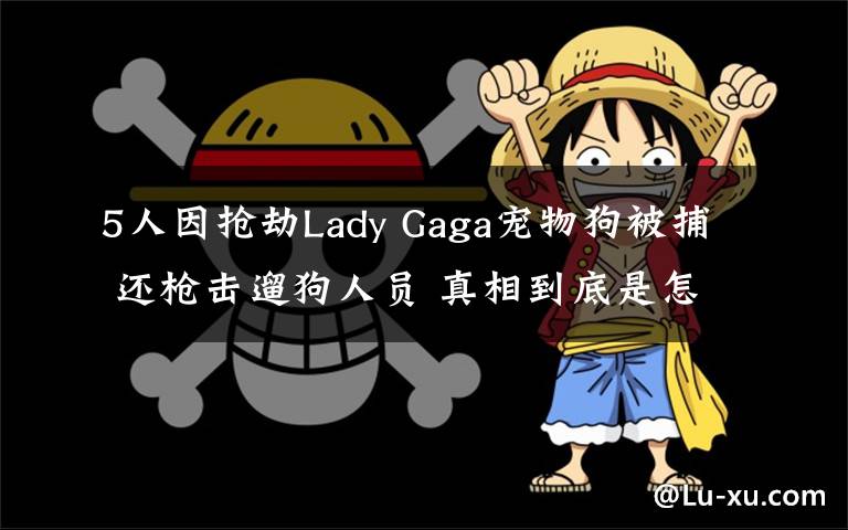 5人因搶劫Lady Gaga寵物狗被捕 還槍擊遛狗人員 真相到底是怎樣的？