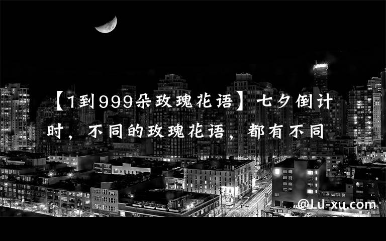 【1到999朵玫瑰花語】七夕倒計時，不同的玫瑰花語，都有不同的寓意?。ńㄗh收藏）