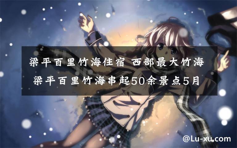 梁平百里竹海住宿 西部最大竹海 梁平百里竹海串起50余景點(diǎn)5月全新開園