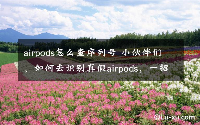 airpods怎么查序列號(hào) 小伙伴們，如何去識(shí)別真假airpods，一招教你識(shí)別真假悟空