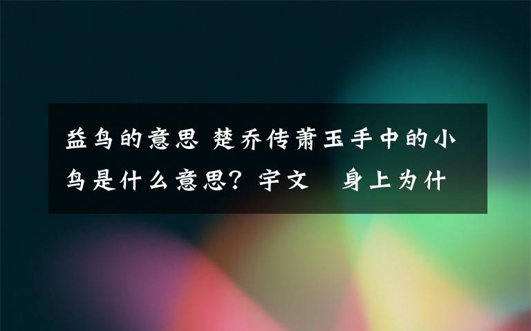 益鳥的意思 楚喬傳蕭玉手中的小鳥是什么意思？宇文玥身上為什么帶著小木鳥