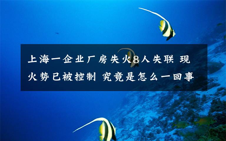 上海一企業(yè)廠房失火8人失聯(lián) 現(xiàn)火勢(shì)已被控制 究竟是怎么一回事?