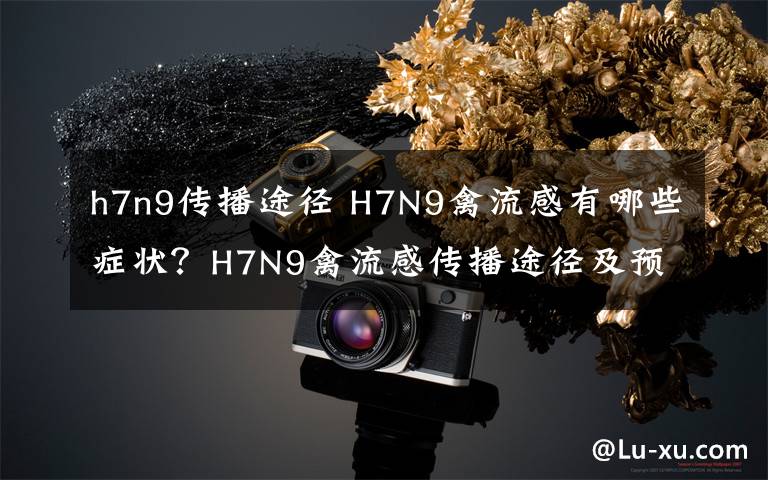 h7n9傳播途徑 H7N9禽流感有哪些癥狀？H7N9禽流感傳播途徑及預(yù)防措施