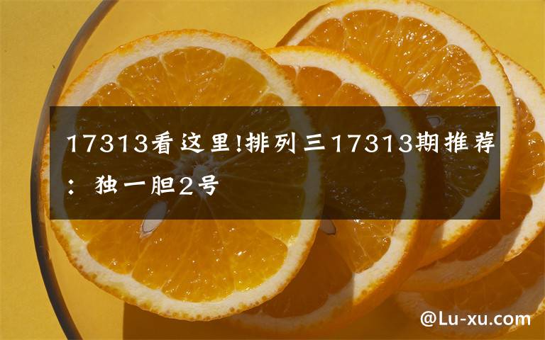 17313看這里!排列三17313期推薦：獨一膽2號