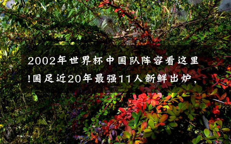 2002年世界杯中國(guó)隊(duì)陣容看這里!國(guó)足近20年最強(qiáng)11人新鮮出爐，憑這個(gè)陣容打進(jìn)2022年世界杯妥妥的