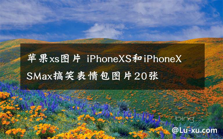 蘋果xs圖片 iPhoneXS和iPhoneXSMax搞笑表情包圖片20張