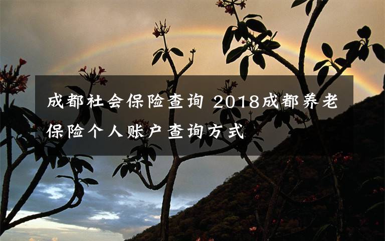 成都社會保險查詢 2018成都養(yǎng)老保險個人賬戶查詢方式