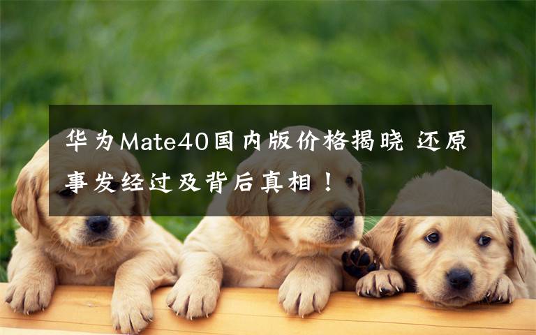 華為Mate40國(guó)內(nèi)版價(jià)格揭曉 還原事發(fā)經(jīng)過(guò)及背后真相！